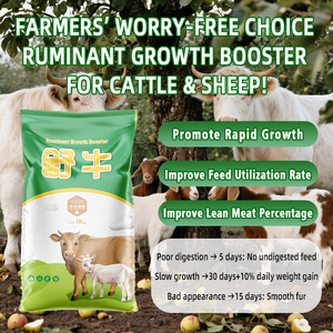 CY Ruminant Growth Booster: Promueve el Crecimiento Rápido y Mejora la <span class=keywords><strong>Porcentaje</strong></span> de Carne Magra y Aditivos para Alimentación de Ganado - Product Image 3