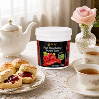 Lotlong Fabriek Leverancier Kosteneffectieve Pure Fruit Puree van Rode Frambozen voor Horeca & Huishoudelijk Commercieel Gebruik