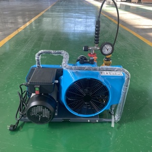 Apagado automático 300bar Motor Compresor <span class=keywords><strong>de</strong></span> aire portátil alimentado por CA Cilindro <span class=keywords><strong>de</strong></span> respiración <span class=keywords><strong>de</strong></span> <span class=keywords><strong>buceo</strong></span> Snorkeling <span class=keywords><strong>Coral</strong></span> Reef Adventure - Product Image 1