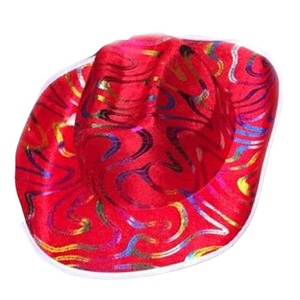 Cappello da Cowboy <span class=keywords><strong>di</strong></span> Halloween con design nuovo cappello da Cowboy con design nuovo cappello da festa per festa <span class=keywords><strong>di</strong></span> festa all'aperto da uomo progettato all'ingrosso della fabbrica - Product Image 1
