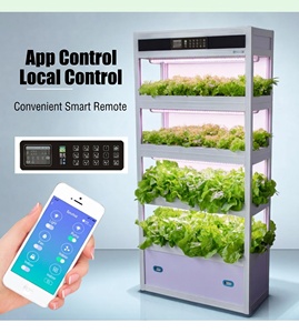 Sistema de Cultivo Hidropónico Vertical, Granja Inteligente de Vegetales para Interiores con Luz LED de Cultivo - Product Image 4