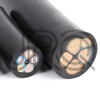 YQ/YQW/YZ/YZW/YC/YCW Flexibles Kupferkabel 2 3 4 5 Adern 1 1,5 2,5 4 6 Mm2 Leiter-Litzen gummi kabel können angepasst werden