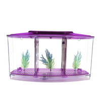 Mini aquarium pour poissons Betta avec lumière colorée pour bureau