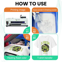 Poudre thermofusible DTF, poudre DTF de qualité supérieure 100-200 µm, adhésif thermofusible pour imprimante DTF, impression par transfert thermique direct sur film