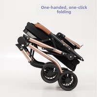 Poussette pour animaux de compagnie à double couche, capacité 35 kg, 4 roues avec amortissement, pliage à un bouton, personnalisable OEM