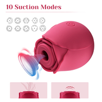 Vibrateur clitoridien en silicone étanche Haslove en forme de rose pour femme, 10 modes de succion, 60 dB de bruit, chargement USB magnétique – Nouveauté très demandée