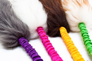 Bungee römorkör oyuncak eğitim Bungee kolu esnek kürk renkli köpek oyuncak bulmaca hol-ee için doğal rulo kauçuk topu küçük ırkları