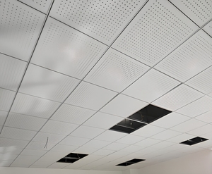 Panneaux acoustiques perforés pour bureaux, design minimaliste, installation par collage - Product Image 4
