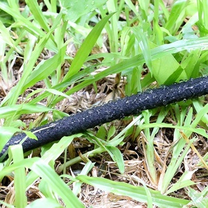 Eco Commercial Flexible <strong>Soaker</strong> <strong>Hose</strong> Pipe Water <strong>Hoses</strong> Low Pressure in Raised Beds Irrigation in Garden Drip <strong>Hose</strong> - Product Image 5