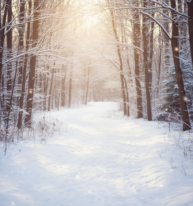 Sudadera con Capucha a Cuadros Rojos y Negros, Manga Larga, Cálida para Invierno, Informal, Conjunto Familiar a Juego, Unisex para Adultos - Product Image 2