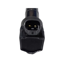 OEM 27300 3F100 High Quality Auto Engine Metal Ignition Coil for Hyundai Kia K3 K5 SORENTO II (XM) H1 2009 273003F100 Customized