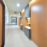Panneau de revêtement mural intérieur en stratifié phénolique HPL à usage médical, panneau mural propre pour intérieur, panneaux HPL pour hôpital