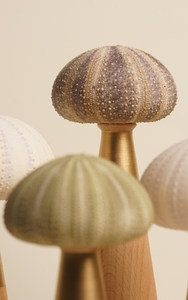 Décoration de table en bois en forme de coquille d'ormeau avec capteur, dispositif LED Art Déco, idéal pour le Festival de la Mi-Automne, cadeau de mariage - Product Image 4