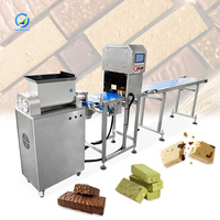 OCEAN Automatische Voedingsproteïne Energie Repenmachine Mini Chocolade Proteïne Repen Extruder en Snijmachine
