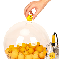 Machine à boules de bingo électronique, cage de bingo en acrylique automatique et ensemble de boules de loterie avec boules d'appel, jeu de bingo à jetons colorés