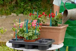 Piquets de jardin en <span class=keywords><strong>bambou</strong></span> moderne Support pour plantes d'intérieur et d'extérieur avec <span class=keywords><strong>cage</strong></span> à tomates pour plantes en pot - Product Image 6