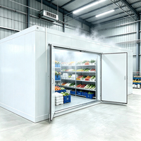 Instalación de Congelador Automático para Exteriores Copeland Emerson con Precio Competitivo para Almacenamiento de Vegetales Congelados