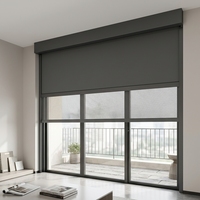 Persianas enrollables dobles WR150-220 a prueba de viento con toldo integrado, bloqueo UV, motor a batería de litio, persiana enrollable motorizada para exteriores