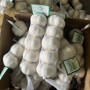 <span class=keywords><strong>Ail</strong></span> frais biologique standard, petits paquets de 3/5 pièces, tressé, pour les chaînes de distribution au détail - Product Image 5