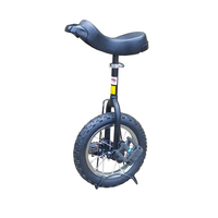Bicicleta de Equilibrio de 14 Pulgadas al por Mayor de Fábrica, Bicicleta Nueva en Oferta, Monociclo de 14 Pulgadas, Bicicleta de Una Rueda