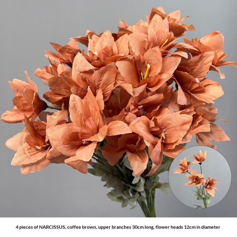 4 narcissus bulbs