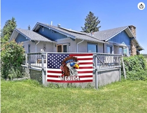 Eagle Mullet <span class=keywords><strong>Merica</strong></span> bandera divertida 3x5FT bandera americana para interiores y exteriores a prueba de decoloración Color vivo poliéster latón ojales 4 de julio - Product Image 5