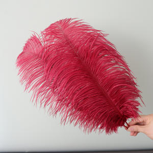 Plumas de avestruz teñidas de 35-40cm para guía de <span class=keywords><strong>camino</strong></span> de boda decoración de iluminación de arte Floral accesorios de escenario grandes coloridos - Product Image 4