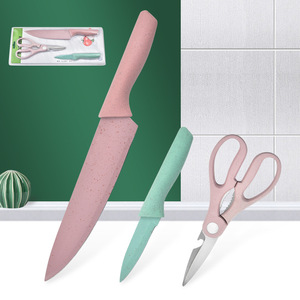 Offre Spéciale 3 pièces <span class=keywords><strong>cuisine</strong></span> fruits légumes outils <span class=keywords><strong>cuisine</strong></span> ciseaux éplucheur et couteau à fruits boîte-cadeau - Product Image 2