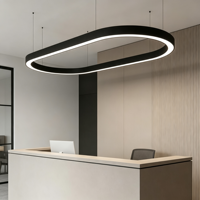 Suspension LED ovale courbée en aluminium brossé bronze architectural sans joint pour bureau de direction en verre