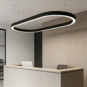 <span class=keywords><strong>Suspension</strong></span> LED ovale courbée en aluminium brossé bronze architectural sans joint <span class=keywords><strong>pour</strong></span> bureau <span class=keywords><strong>de</strong></span> direction en verre - Product Image 2