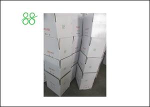 Spirodiclofen Abamectina, Insecticidas y Pesticidas Agrícolas para la Protección de Cultivos - Product Image 5