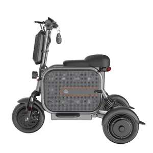 48V Folding Mobility Scooter Airline Approved High Speed Fashion Three Wheel Electric Scooter 35km/H