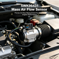 Sensor de Flujo de Aire Personalizado al por Mayor 28164-25000 28164-23700 5WK96431 para Automóviles
