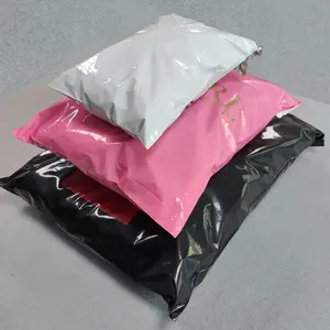 Benutzer definierte Kurier Mailer Taschen mit Taschen/Kurier Kunststoff Flyer Tasche mit Beutel