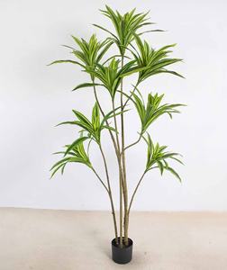 H633 Árbol Artificial de <span class=keywords><strong>Canna</strong></span> Brasileña de Alta Calidad en Material PE, de 130cm a 190cm, Planta Artificial para Decoración de Sala de Estar - Product Image 2