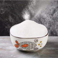 Fournisseur de ciment chinois Marque SDH Ciment blanc CSA 25 kg Bon prix pour l'exportation
