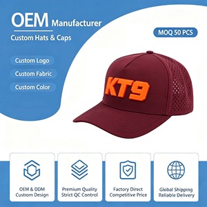 Gorra de Béisbol Personalizada de 7 Paneles, Estilo Hip Hop, Visera Plana, Logotipo Bordado, Impermeable, con Perforaciones Cortadas a Láser, Resistente al Agua, Cierre a Presión - Product Image 1