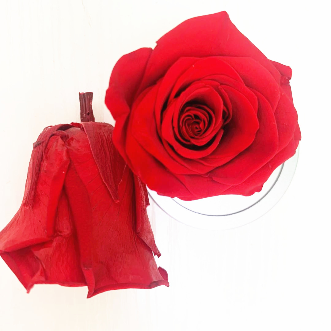 Радужные декоративные цветы и венки, консервированные цветы, головка розы, 10 см, натуральная свежая головка розы, консервированные розы