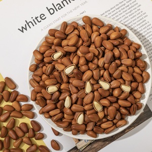 Nhà cung cấp Trung Quốc tự nhiên thông đỏ hạt trong vỏ tươi thu hoạch số lượng lớn Hạt thông Bán Buôn Đồ ăn nhẹ lành mạnh - Product Image 5