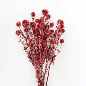 Fábrica de Yunnan, venta al por mayor, flores decorativas naturales, para el hogar <span class=keywords><strong>echinops</strong></span> preservados, boda, ramo floral de vacaciones - Product Image 2