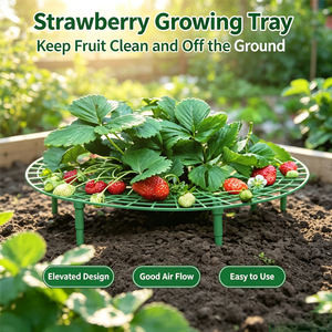 Soportes para Plantas de Fresa con 4 Patas Resistentes que Brindan Protección para las Fresas Contra el Moho, la Podredumbre y la Suciedad - Product Image 5