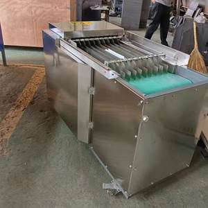 Macchina Rimuovi Semi di Peperoncino Secco 220V, Motore Efficiente, Rimuove i Semi di Peperoncino, Garanzia 1 Anno, 300kg - Product Image 5