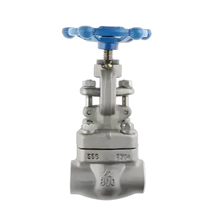 Geschmiedetes Stahlmaterial, Hülsenschweißung, Gewindeverbindung NPT 800LB, J61F Hochtemperatur-Öl- und Gasabsperrventil F304 - Product Image 2