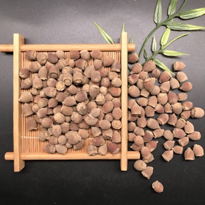 2210 Frutto di Rodomyrtus Tomentosa di Alta Qualità, <span class=keywords><strong>Rosa</strong></span> di Montagna, <span class=keywords><strong>Mirto</strong></span> <span class=keywords><strong>Rosa</strong></span> - Product Image 2