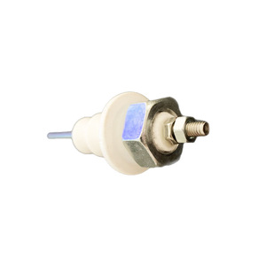 Sonde de température, capteur de niveau d'eau, petite sonde en céramique pour cuiseur vapeur, cuiseur à riz, cuiseur à nouilles, accessoires d'équipement de cuisine - Product Image 3
