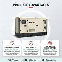 Generador Diésel Súper Silencioso de 275KVA 250kva 200kw Trifásico 400V 50Hz para Supermercados, Conciertos, Hoteles, con Certificación ISO CE