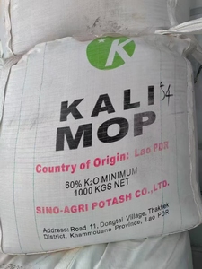 โพแทสเซียมคลอไรด์เกรดอุตสาหกรรม KCL CAS 7447-40-7 - Product Image 6