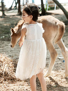 สินค้าใหม่ ชุดเดรสเด็กผู้หญิงสไตล์ทูทู สำหรับงานวันเกิด ลำลอง ทันสมัย ดีไซน์แบบแอฟริกัน สำหรับเด็กผู้หญิงตัวเล็ก ซื้อตรงจากจีน - Product Image 5