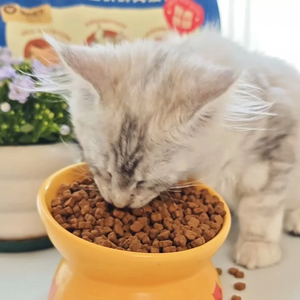 Cibo Secco per Gatti 100% Naturale con Formula al Pollo, Alta Qualità, Senza Cereali, Carne Fresca, Non-OGM, Alto Contenuto Proteico - Product Image 1