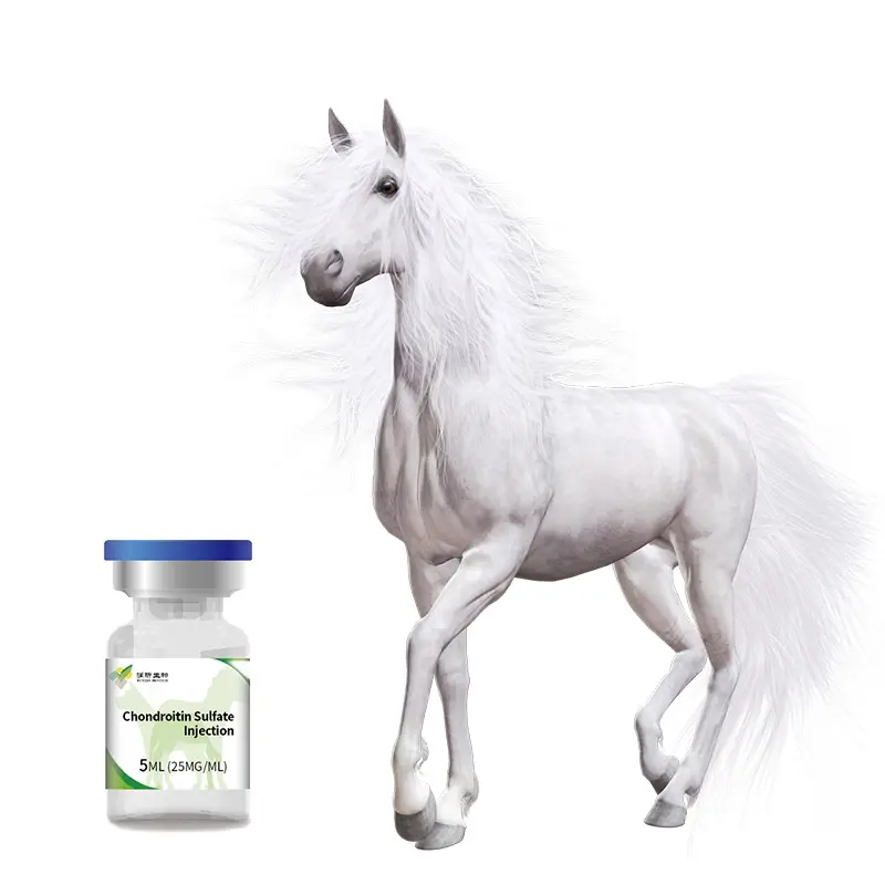 Высокая чистота хондроитин сульфат CS HA раствор лошадь питомцы добавки против старения белый порошок/раствор взрослых фолиевая кислота сухое место